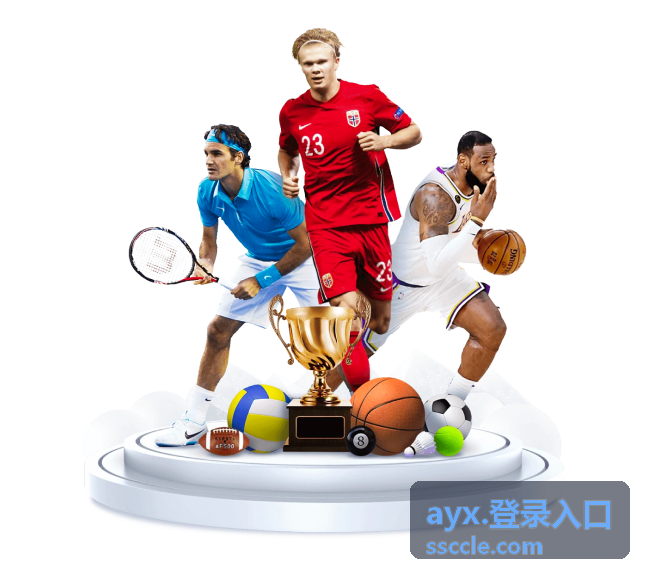 ayx.登录入口 身份核验环节流程示意